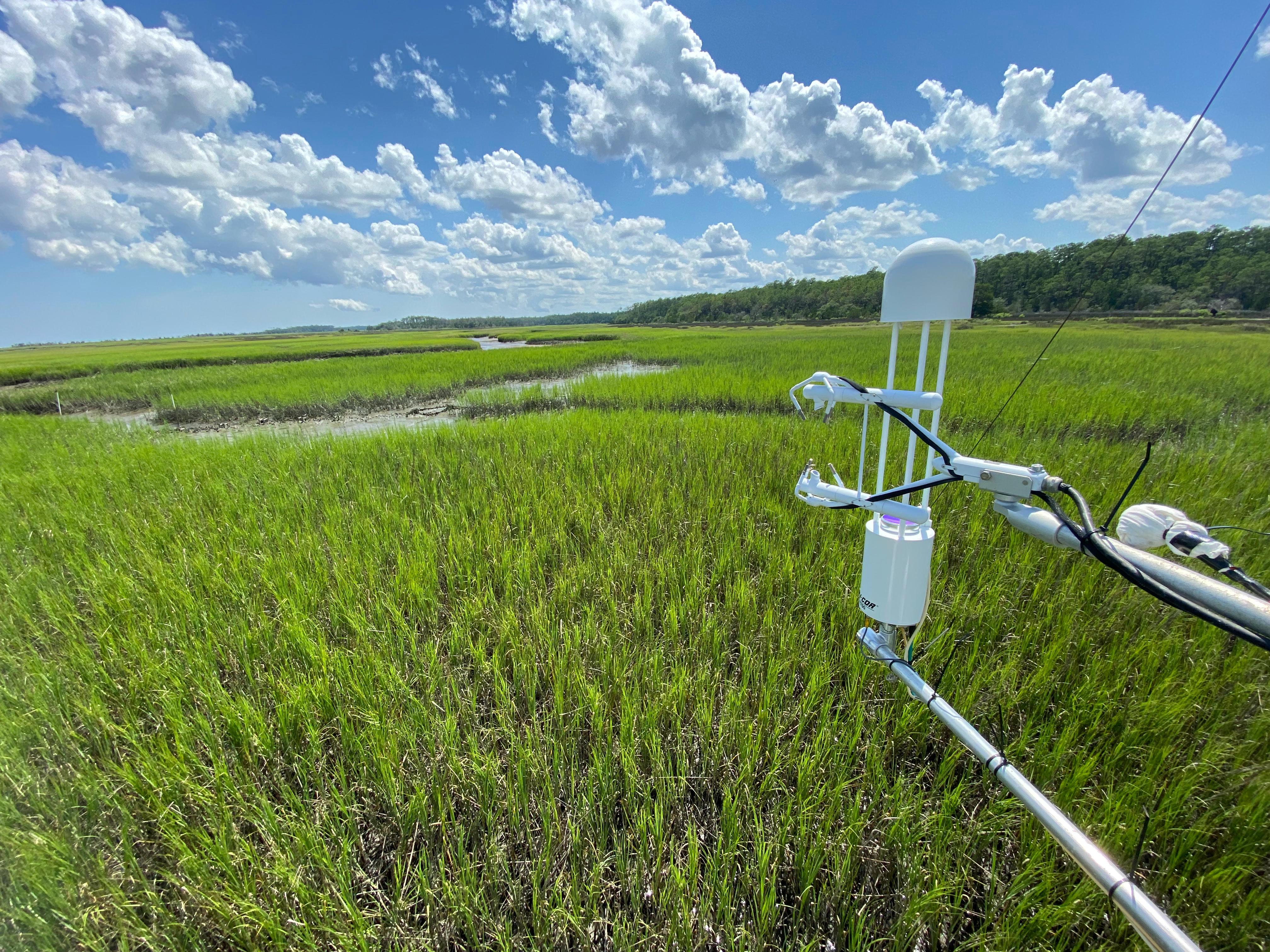 /2022_04_21_saltmarsh3years/SaltMarsh2022.png