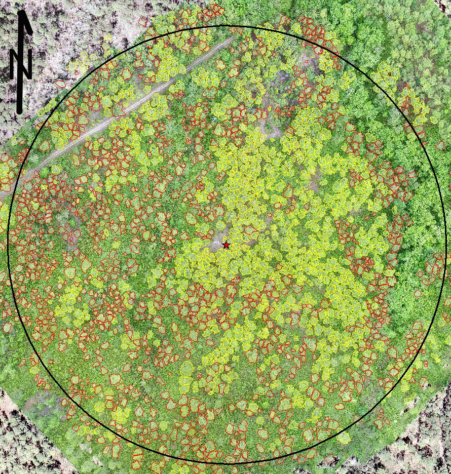 /2022_07_13_dronepub/williams%20etal-droneFig1.jpg /2022_07_13_dronepub/williams%20etal-droneFig1.jpg